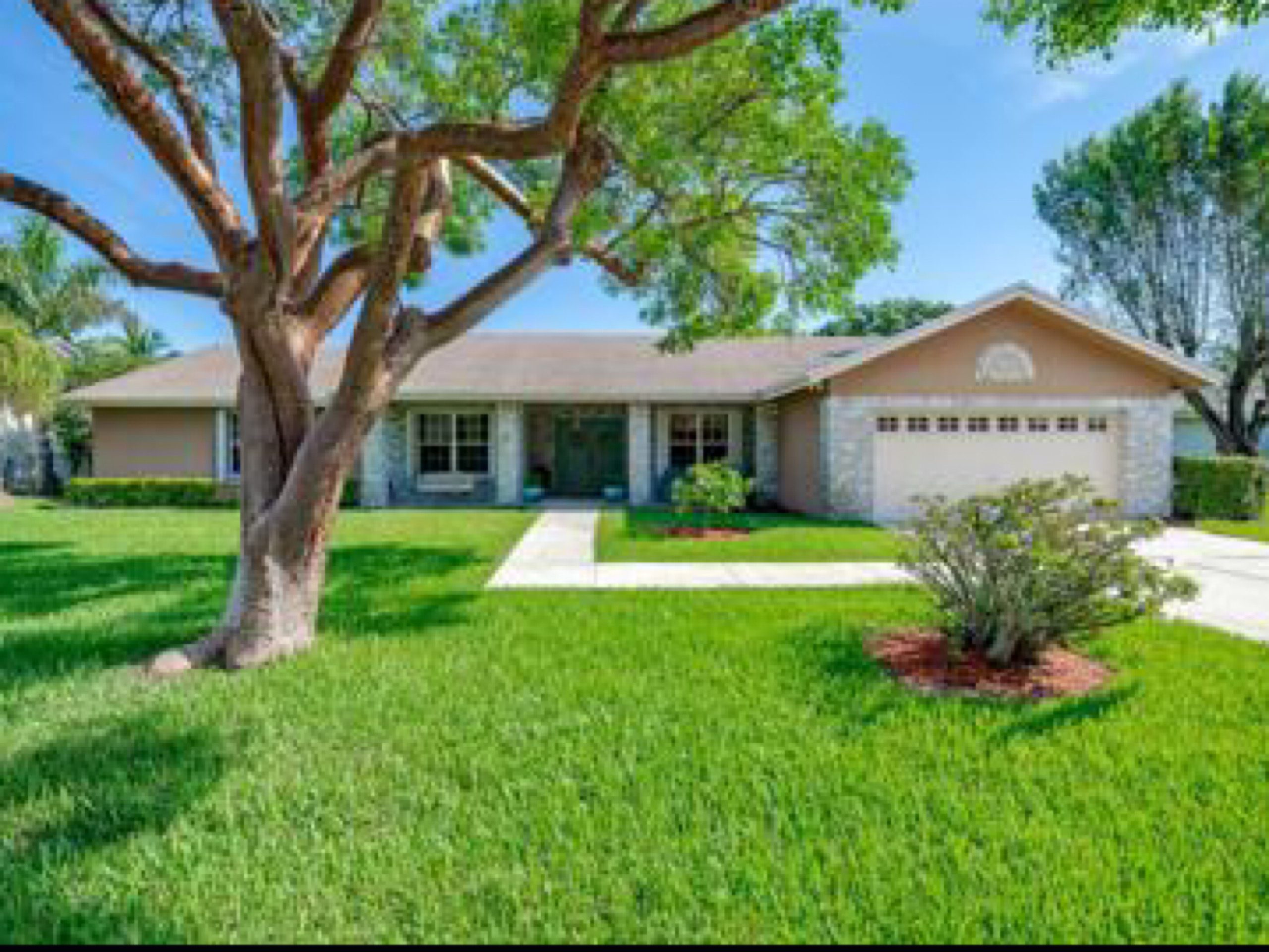 Pretty House Pretty House